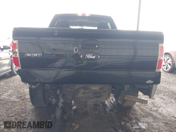 2010 Ford F-150 XL with VIN 1FTEW1E82AFD87433, listed as a IAAI auction lot 42595343 with 159,229 mi miles and . Bid and sale history available at DreamBid. Image 17.