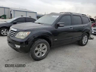 2009 Kia Borrego EX with VIN KNDJJ742395036254, listed as a Copart auction lot 43173555 with 110,269 mi miles and Clean Title. Bid and sale history available at DreamBid. Image 1.