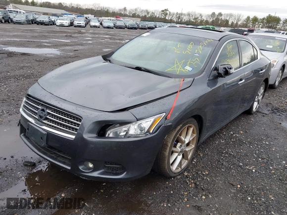 2010 Nissan Maxima 3.5 SV with VIN 1N4AA5AP2AC813162, listed as a IAAI auction lot 41966140 with Not Provided miles. Bid and sale history available at carsss.com. Image 2.