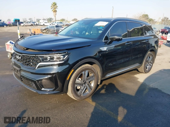 2024 Kia Sorento SX Prestige with VIN KNDRKDLG7R5259912, listed as a IAAI auction lot 41265462 with 33,786 mi miles and . Bid and sale history available at DreamBid. Image 2.