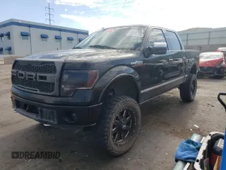 2010 Ford F-150 XL with VIN 1FTFW1EV7AFB49099, listed as a Copart auction lot 63714735 with 228,186 mi miles and Clean title. Bid and sale history available at DreamBid. Image 1.