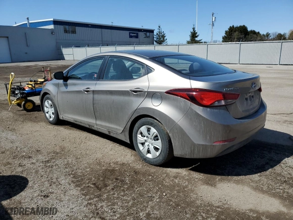 2014 Hyundai Elantra SE with VIN 5NPDH4AE5EH534102, listed as a Copart auction lot 51253335 with 113,560 mi miles and Clean Title. Bid and sale history available at carsss.com. Image 2.
