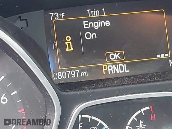 2018 Ford Focus SE with VIN 1FADP3F23JL280042, listed as a IAAI auction lot 41905008 with 80,797 mi miles. Bid and sale history available at carsss.com. Image 15.