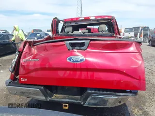 2016 Ford F-150 XLT with VIN 1FTEW1EP3GKF61243, listed as a IAAI auction lot 41842070 with 1 mi miles. Bid and sale history available at carsss.com. Image 16.