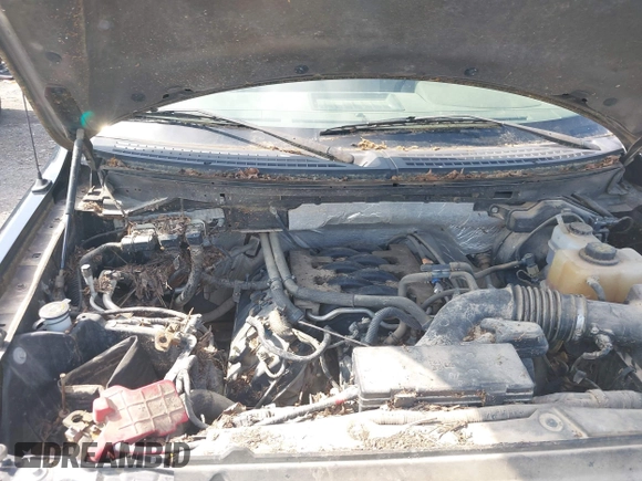 2011 Ford F-150 XL with VIN 1FTFW1EF6BFA17347, listed as a IAAI auction lot 42109380 with 74,931 mi miles and . Bid and sale history available at DreamBid. Image 6.