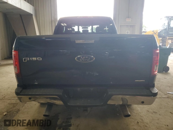 2016 Ford F-150 XLT with VIN 1FTFX1EF7GKE40417, listed as a Copart auction lot 61260975 with 115,488 mi miles and Clean title. Bid and sale history available at DreamBid. Image 6.
