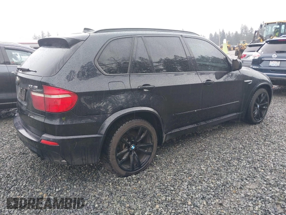 2010 BMW X5 M with VIN 5YMGY0C59ALK25572, listed as a IAAI auction lot 41712140 with 163,226 mi miles. Bid and sale history available at carsss.com. Image 4.