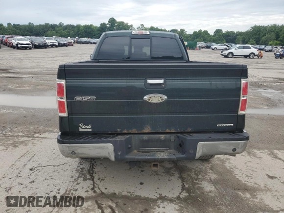 2013 Ford F-150 XL with VIN 1FTFX1EF6DFA66130, listed as a Copart auction lot 63207265 with 190,147 mi miles and Salvage title. Bid and sale history available at DreamBid. Image 6.