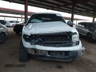 2013 Ford F-150 XL with VIN 1FTFW1EF5DFB99853, listed as a IAAI auction lot 42024669 with 113,013 mi miles. Bid and sale history available at carsss.com. Image 12.