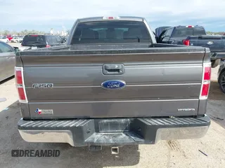 2013 Ford F-150 XL with VIN 1FTEX1CM8DFD67446, listed as a IAAI auction lot 41891784 with 159,909 mi miles and . Bid and sale history available at DreamBid. Image 16.