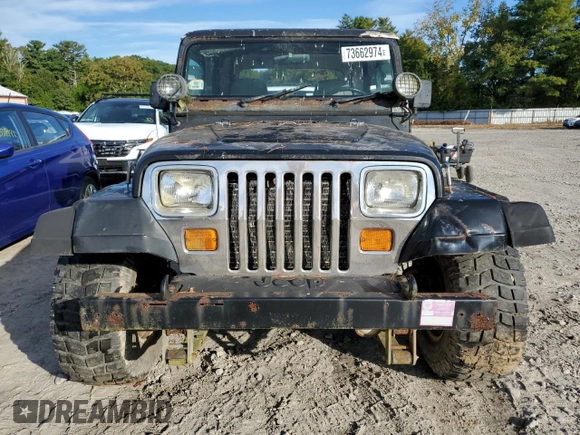 1994 Jeep Wrangler with VIN 1J4FY29S1RP461693, listed as a Copart auction lot 73662974 with 202,452 mi miles and Clean Title. Bid and sale history available at carsss.com. Image 5.