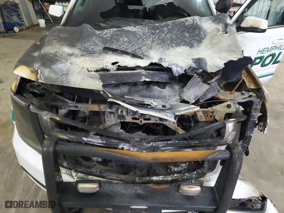 2017 Chevrolet Tahoe Commercial with VIN 1GNLCDECXHR150484, listed as a Copart auction lot 43262125 with 0 mi miles and Salvage Title. Bid and sale history available at carsss.com. Image 12.