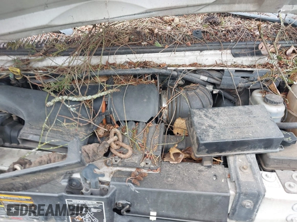 2000 Ford Econoline Cargo with VIN 1FTNE24LXYHB44580, listed as a IAAI auction lot 41906191 with 244,342 mi miles and . Bid and sale history available at DreamBid. Image 10.