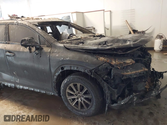 2018 Lexus NX 300 with VIN JTJYARBZ1J2113944, listed as a IAAI auction lot 41326341 with Not provided miles and . Bid and sale history available at DreamBid. Image 6.