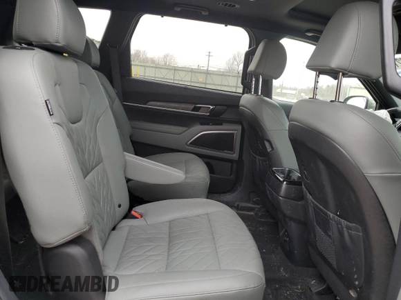 2024 Kia Telluride EX X-Line с VIN 5XYP3DGC7RG454296, выставлен на аукционе Copart как лот 53647215 с пробегом 22 825 миль миль и Списание • Salvage title. История ставок и продаж доступна на DreamBid. Изображение 11.
