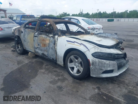 2019 Dodge Charger Police with VIN 2C3CDXAG9KH544571, listed as a IAAI auction lot 41971350 with Not provided miles and . Bid and sale history available at DreamBid. Image 1.