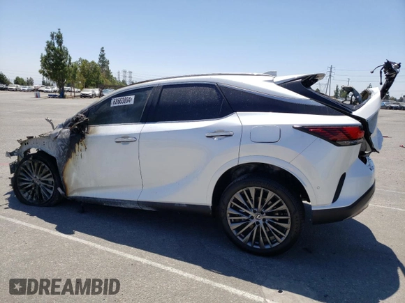 2024 Lexus RX with VIN 2T2BBMCA8RC047497, listed as a Copart auction lot 68663804 with Not Provided miles and Non Repairable. Bid and sale history available at carsss.com. Image 2.