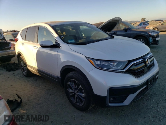 2020 Honda CR-V EX with VIN 2HKRW2H59LH673670, listed as a Copart auction lot 38844093 with 20,927 mi miles and . Bid and sale history available at DreamBid. Image 4.