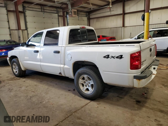2007 Dodge Dakota SLT with VIN 1D7HW48K97S141569, listed as a Copart auction lot 84002054 with 204,019 mi miles and Salvage Title. Bid and sale history available at carsss.com. Image 2.