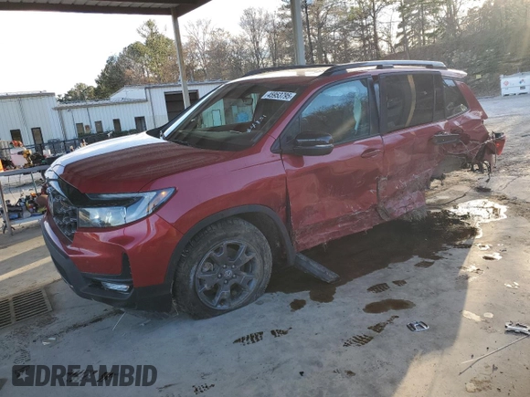 2024 Honda Passport TrailSport with VIN 5FNYF8H64RB019688, listed as a Copart auction lot 45953795 with 14,943 mi miles and Salvage title. Bid and sale history available at DreamBid. Image 1.