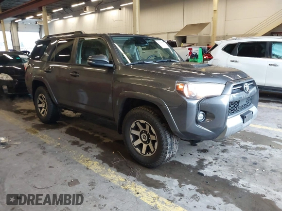 2022 Toyota 4Runner TRD Off Road Premium with VIN JTERU5JR8N6024617, listed as a IAAI auction lot 41120404 with 53,431 mi miles and . Bid and sale history available at DreamBid. Image 1.