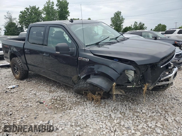 2019 Ford F-150 XL with VIN 1FTEW1E56KFB84343, listed as a Copart auction lot 60722365 with Not provided miles and Clean title. Bid and sale history available at DreamBid. Image 4.