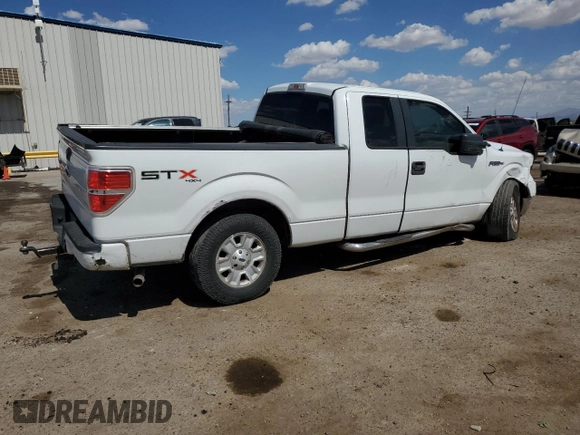 2010 Ford F-150 XL with VIN 1FTEX1EW4AKE08902, listed as a Copart auction lot 64699795 with 288,700 mi miles and Salvage title. Bid and sale history available at DreamBid. Image 3.
