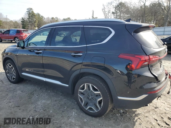 2022 Hyundai Santa Fe Limited with VIN 5NMS44AL5NH418106, listed as a Copart auction lot 88693165 with 48,256 mi miles and Salvage Title. Bid and sale history available at carsss.com. Image 2.