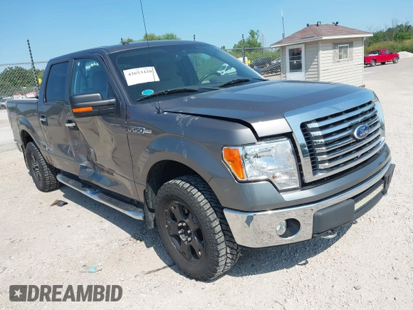 2010 Ford F-150 XL with VIN 1FTEW1E83AFD18282, listed as a IAAI auction lot 42653428 with 207,118 mi miles and . Bid and sale history available at DreamBid. Image 1.