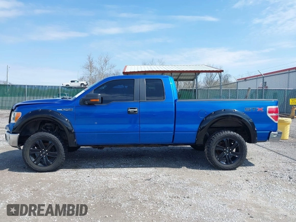 2010 Ford F-150 XL with VIN 1FTFX1EV5AFD48164, listed as a IAAI auction lot 41973597 with 113,671 mi miles and . Bid and sale history available at DreamBid. Image 15.