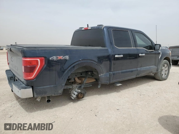 2023 Ford F-150 XL with VIN 1FTFW1E83PFB53217, listed as a Copart auction lot 50497895 with 43,095 mi miles and Salvage Title. Bid and sale history available at carsss.com. Image 3.