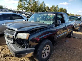 2005 Chevrolet Silverado 1500 Work Truck with VIN 1GCEC19X45Z351449, listed as a Copart auction lot 55495534 with 0 mi miles and Salvage Title. Bid and sale history available at carsss.com. Image 1.