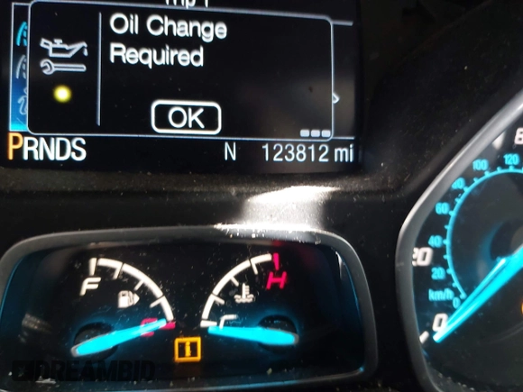 2016 Ford Escape SE with VIN 1FMCU9GX7GUC85187, listed as a IAAI auction lot 41678991 with 123,812 mi miles and . Bid and sale history available at DreamBid. Image 7.