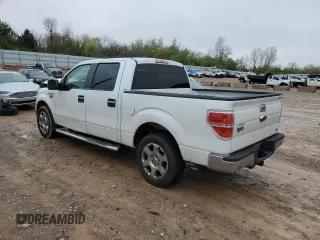2010 Ford F-150 XL with VIN 1FTFW1CVXAFC29578, listed as a Copart auction lot 50214125 with 203,410 mi miles and Salvage Title. Bid and sale history available at carsss.com. Image 2.