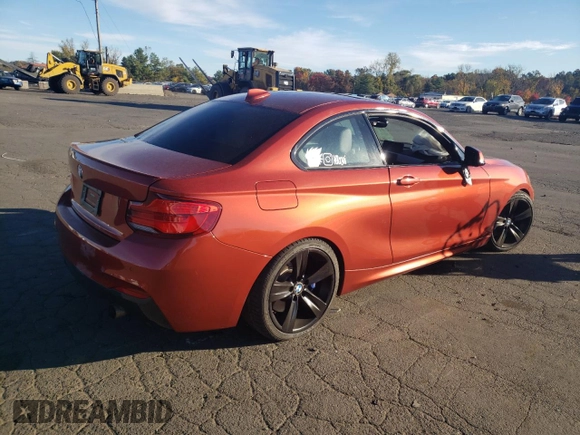 2018 BMW 2 Series 230i xDrive with VIN WBA2J3C53JVA49891, listed as a Copart auction lot 75574104 with 55,253 mi miles and Salvage title. Bid and sale history available at DreamBid. Image 3.