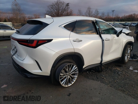 2024 Lexus NX 350 Luxury с VIN 2T2HGCEZ0RC052380, выставлен на аукционе Copart как лот 81920044 с пробегом 4 290 миль миль и Списание • Salvage title. История ставок и продаж доступна на DreamBid. Изображение 3.
