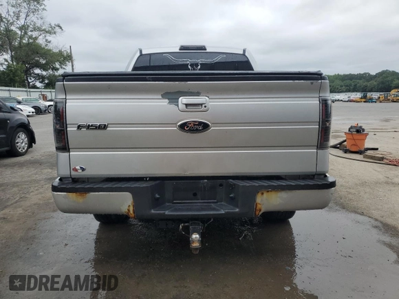 2010 Ford F-150 XL with VIN 1FTEW1C81AKB37935, listed as a Copart auction lot 62644595 with 185,465 mi miles and Salvage title. Bid and sale history available at DreamBid. Image 6.
