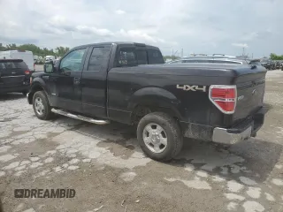 2013 Ford F-150 XL with VIN 1FTFX1ET0DFB38753, listed as a Copart auction lot 61244495 with 211,235 mi miles and Salvage title. Bid and sale history available at DreamBid. Image 2.