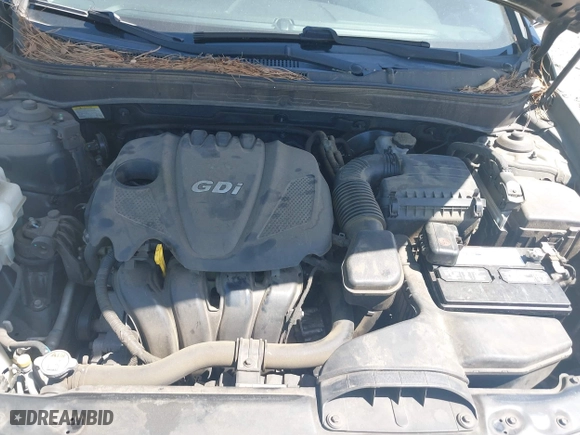 2013 Hyundai Sonata GLS with VIN 5NPEB4AC1DH751357, listed as a IAAI auction lot 42046348 with 118,619 mi miles. Bid and sale history available at carsss.com. Image 10.
