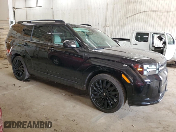 2024 Hyundai Santa Fe Calligraphy with VIN 5NMP5DGL5RH031863, listed as a Copart auction lot 49506265 with 3,817 mi miles and Salvage title. Bid and sale history available at DreamBid. Image 4.