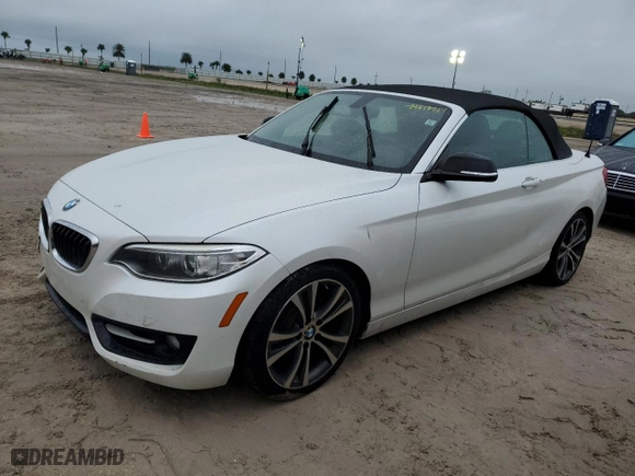 2015 BMW 2 Series 228i with VIN WBA1K5C51FV242629, listed as a Copart auction lot 74613734 with 0 mi miles and Salvage Title. Bid and sale history available at carsss.com. Image 1.