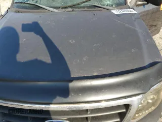 2002 Ford F-150 XL z VIN 2FTRF18W12CA41575, wystawiony jako Copart lot #75248554 z przebiegiem Nie podano mil oraz Szkoda całkowita • Salvage title. Historia ofert i sprzedaży dostępna na DreamBid. Obrazek 12.