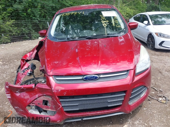 2013 Ford Escape SE with VIN 1FMCU0GX6DUA98305, listed as a IAAI auction lot 42389841 with 109,484 mi miles and . Bid and sale history available at DreamBid. Image 12.