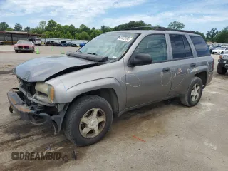 2006 Chevrolet TrailBlazer LS with VIN 1GNDS13S762115987, listed as a Copart auction lot 58475494 with 199,475 mi miles and Salvage Title. Bid and sale history available at DreamBid. Image 1.