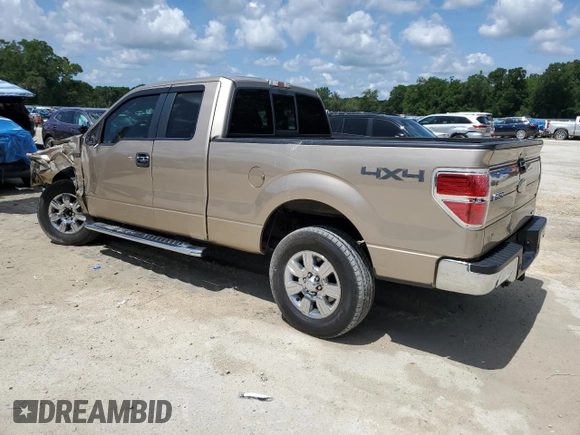 2011 Ford F-150 XL with VIN 1FTEX1EM8BFD20153, listed as a Copart auction lot 60405365 with 239,383 mi miles and Salvage title. Bid and sale history available at DreamBid. Image 2.