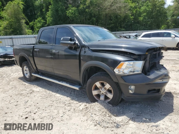 2014 Ram 1500 Big Horn with VIN 1C6RR7LT1ES209326, listed as a Copart auction lot 58132445 with 113,964 mi miles and Salvage title. Bid and sale history available at DreamBid. Image 4.