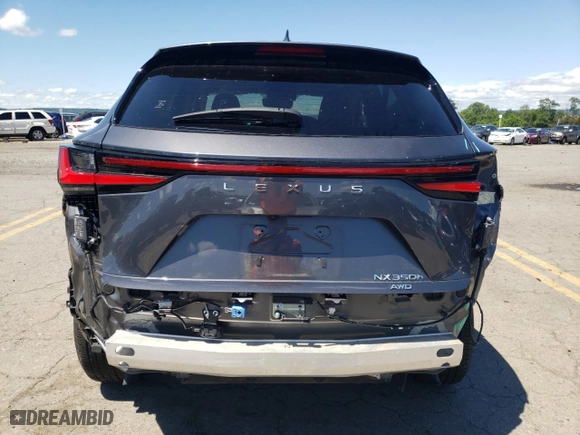 2022 Lexus NX with VIN JTJGKCEZ4N2004806, listed as a Copart auction lot 61267594 with 29,097 mi miles and Salvage Title. Bid and sale history available at carsss.com. Image 6.