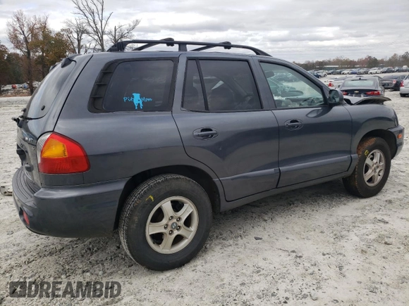 2003 Hyundai Santa Fe GLS with VIN KM8SC13D23U514882, listed as a Copart auction lot 76653463 with 126,223 mi miles and Salvage Title. Bid and sale history available at carsss.com. Image 3.