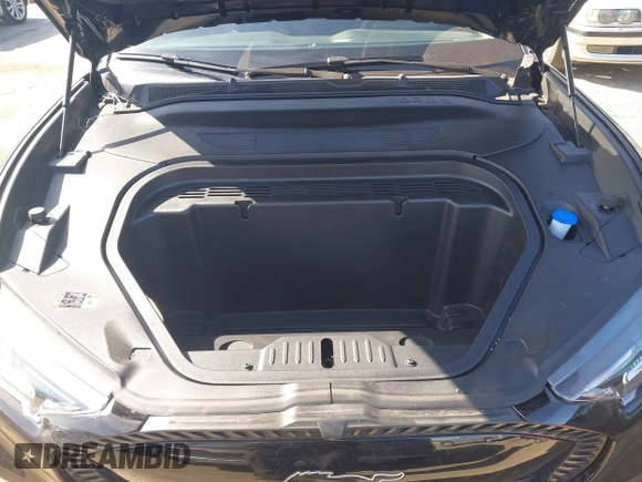 2024 Ford Mustang Mach-E Select with VIN 3FMTK1R41RMA50110, listed as a IAAI auction lot 41965729 with 2,385 mi miles and . Bid and sale history available at DreamBid. Image 10.