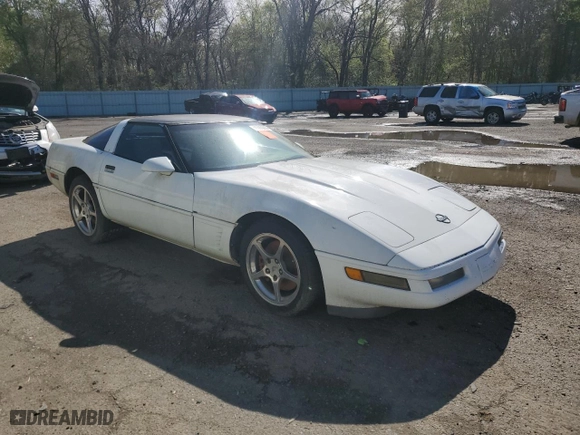 1996 Chevrolet Corvette with VIN 1G1YY22P9T5113317, listed as a Copart auction lot 49695095 with 193,376 mi miles and Clean Title. Bid and sale history available at carsss.com. Image 4.